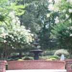 Landscaping Maintenance - Hutcheson Horticultural - 7