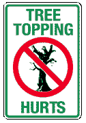 Tree Topping